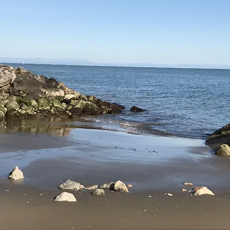 Palma - Μπιμπιόνε